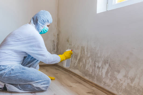 Hvac And Air Duct Mold Remediation inspection of HVAC system in Mount Pleasant Mills