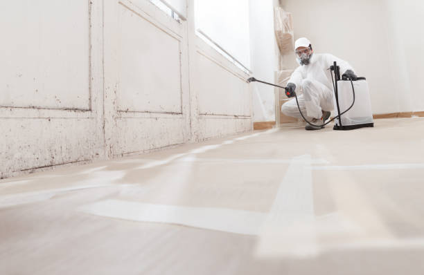 Black mold remediation team in Mount Pleasant Mills